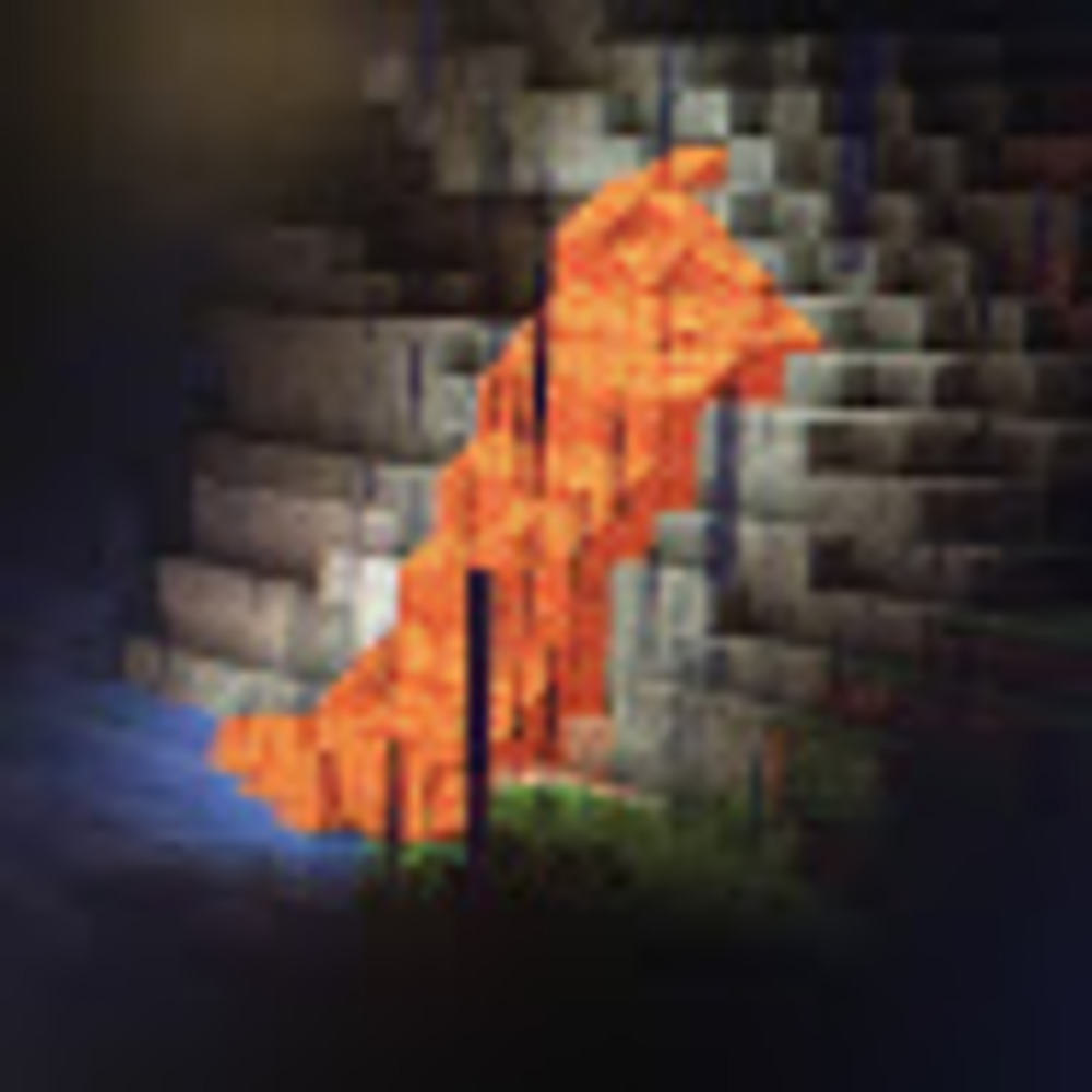 Meet your Posher, Hailey